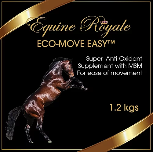 Equine Royale Eco Move Easy