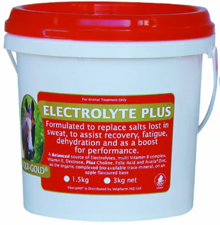 Equigold Electrolyte Plus