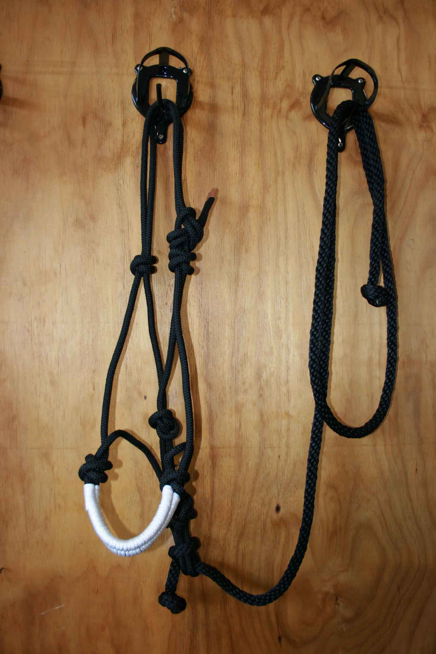 Chevalier Rope Halter with Lead