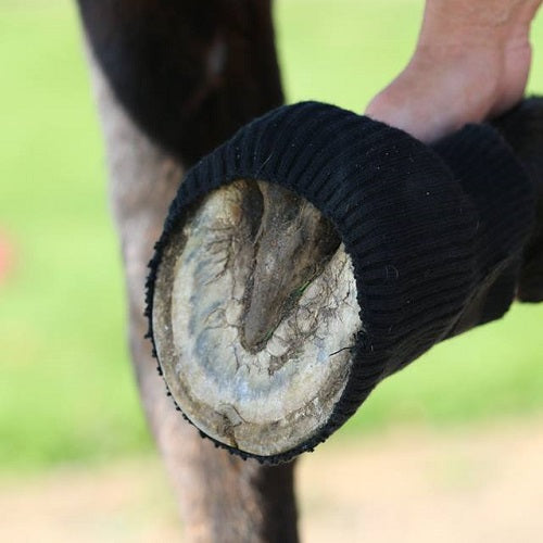 Cavallo Comfort Sleeves