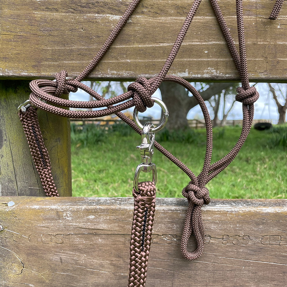 Rope Halter/Bridle w Reins