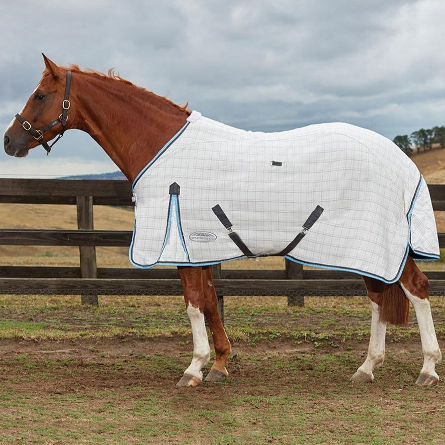 Weatherbeeta Panda Rug Weatherbeeta Rugs — Horselands