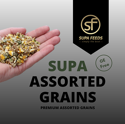 Supa Assorted grains 20kg — Horselands