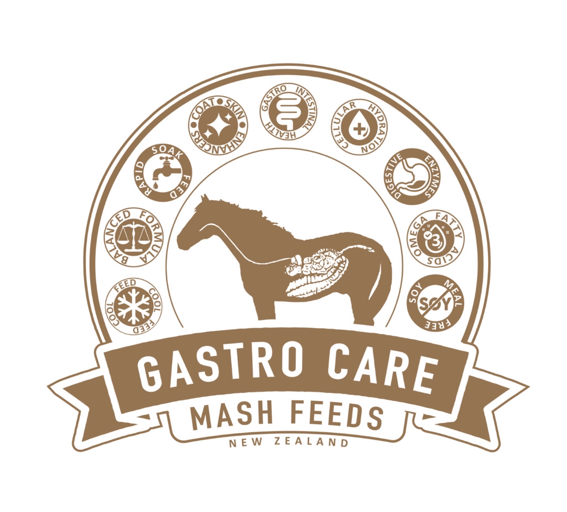 Gastric Care Coco Mash